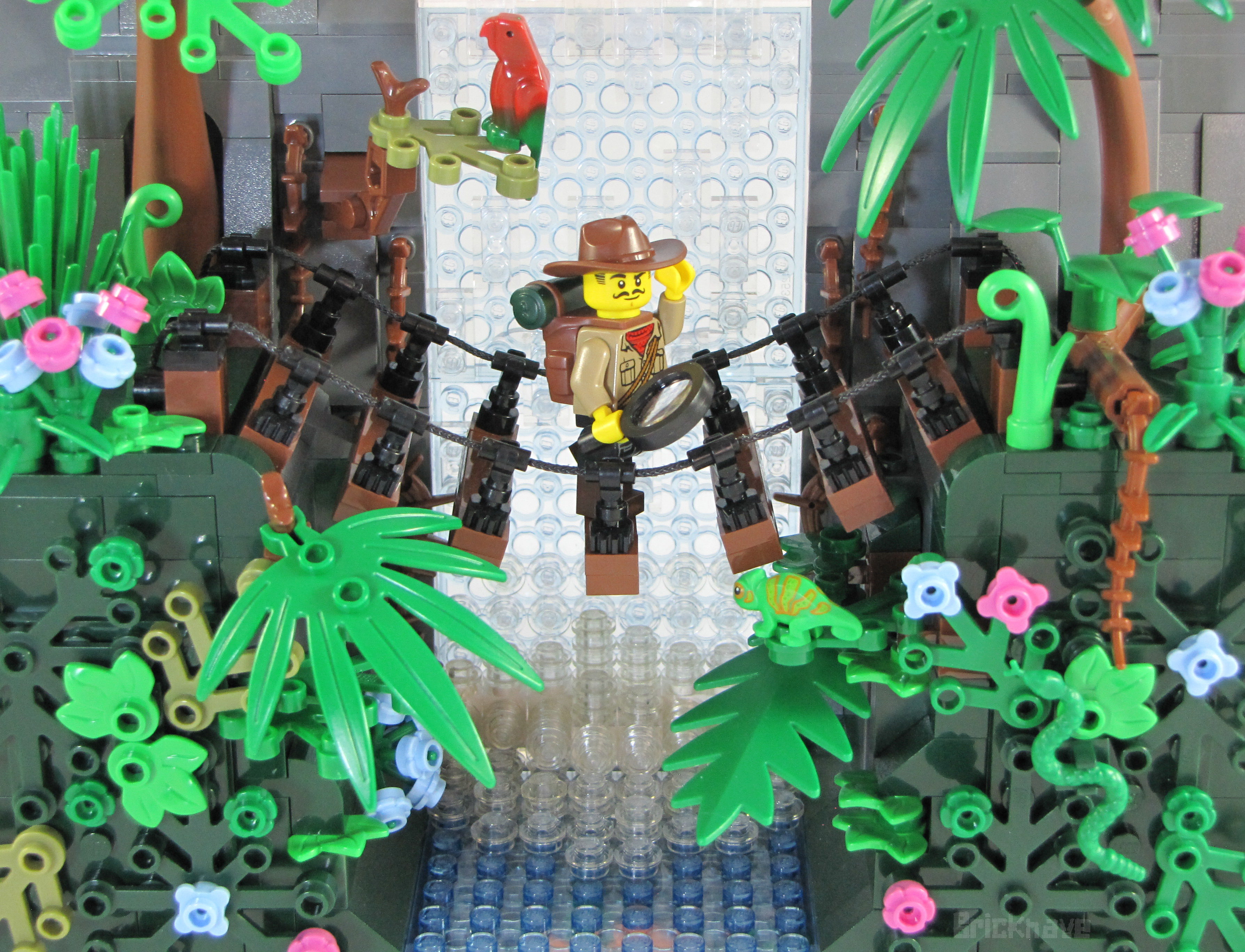 Jungle Explorer