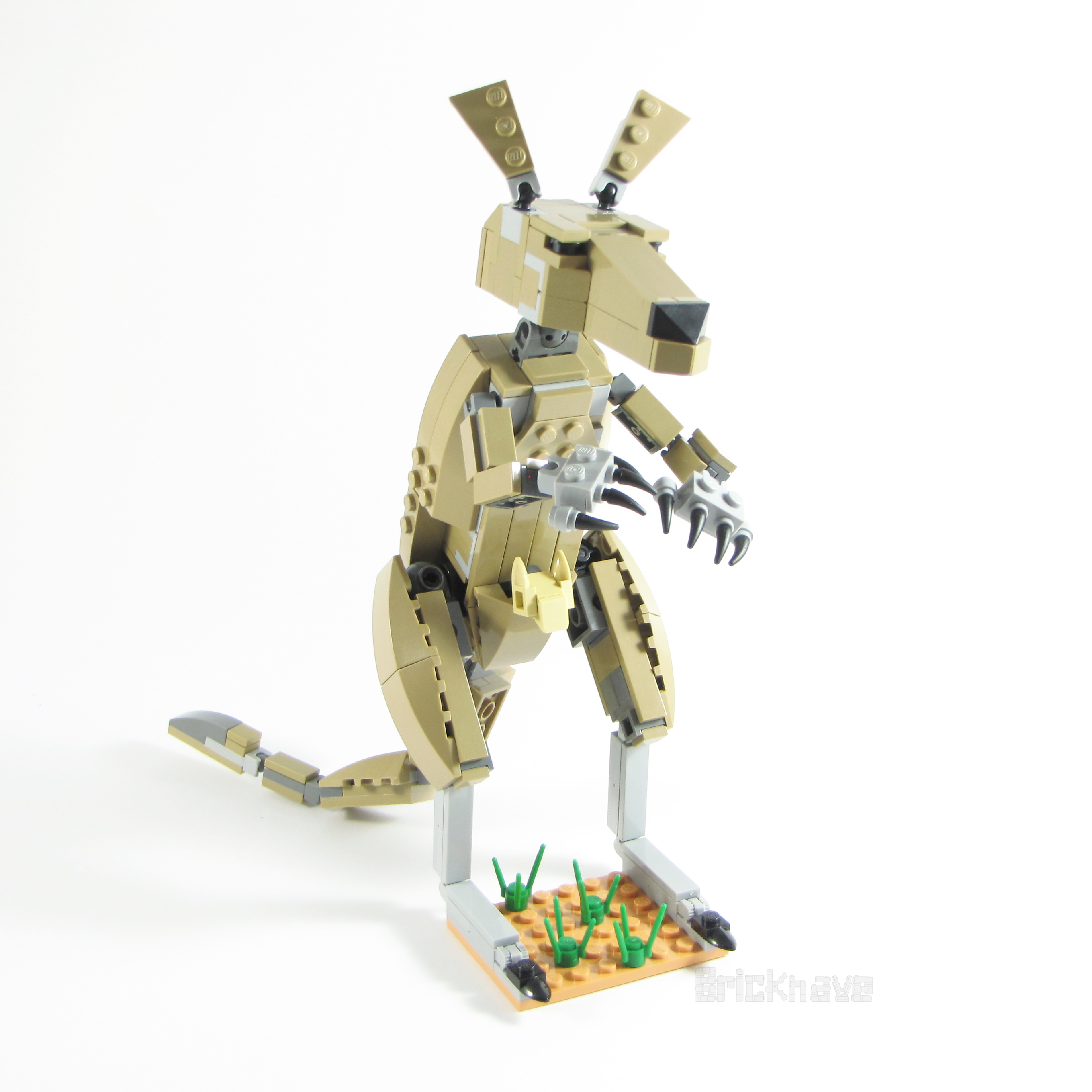 Kangaroo